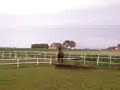 gallopin mills in field lol ..x