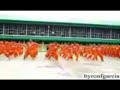 Filipino prison dancers do Brittney Spears, Mike Jones