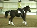 Mickey Pony For Sale
