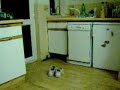 ghost shoes ghost shoes