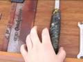 videos de The Seegcm Eibbed - Notsa Drahcir