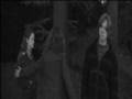 Draco/Hermione Collapsed