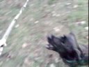 Angee slow motion