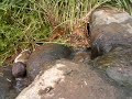 trail honcho Rock&Mud&Water