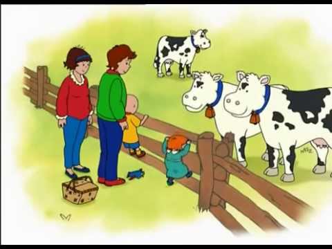 español - Caillou es un pequeño niño de 4 años con una gran imaginación. Dulce e inocente, juguetón y curioso, Caillou se queda sorprendido por todas las cosas nuevas....