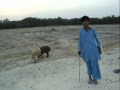 Peer Dad -پیرداد غمگین BaloChi MuSiC
