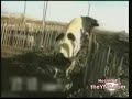 Zoofilia boi mentendo a vara!!