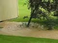 Rushing Water