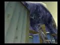 Time Splitters 2 lvl 1 part 1