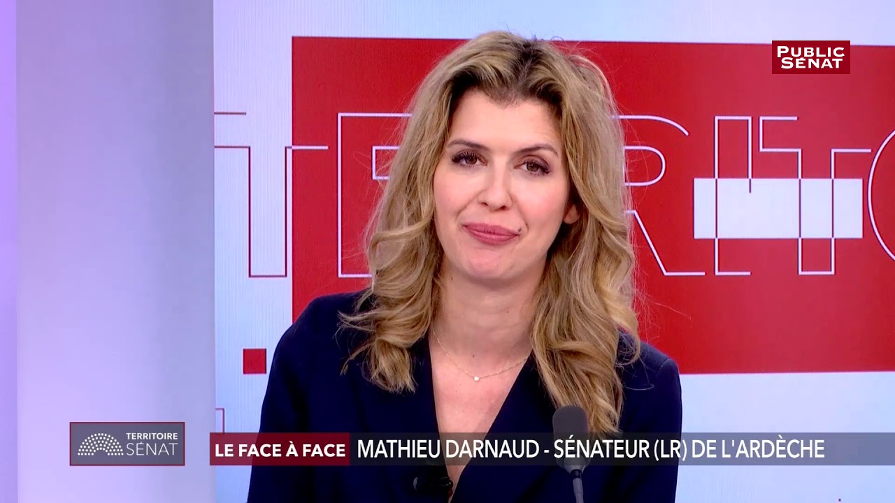 Mathieu Darnaud dans "Le Face à face" de Public Sénat