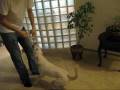 Extreme tug o' war