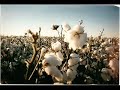 Pick a Bale of Cotton - Lonnie Donegan