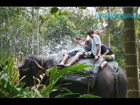 how to plan kerala trip