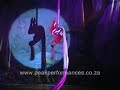 Zenith Aerial Acrobats - Scarf