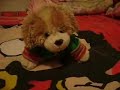 Webkinz Collection (So Far)