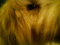 mi perro en celos xDD y de sarabia y vargas