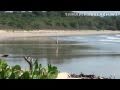 Ver Video