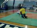 Yllie(ALLIANCE) Final Adulto Pesadissimo Yllie(ALLIANCE) Final Adulto Pesadissimo