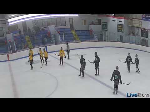 Summer League Coast to Coast Goal