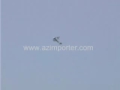 please visit www.azimporter.com for complete line of r/c products. to buy sample, please visit www.aboystoys.com
