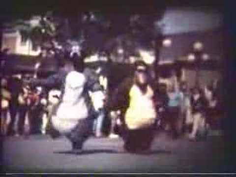 Walt Disney World 1975 - Electrical ...