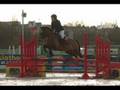 poney club du pard délire