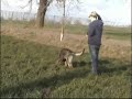 Fia-stopa 29.3.08