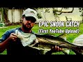 MONSTER SEAWALL SNOOK ON LIVE BAIT