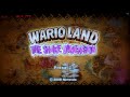 Dolphin Wii Emulator running Wario Land on a Q9550 and a Radeon 5850 at 1920X1080 8XAA DX9