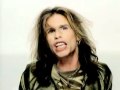 Aerosmith - Pink