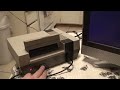 a very early version of color a dinosaur for the nes. the game is very glitchy and incomplete!