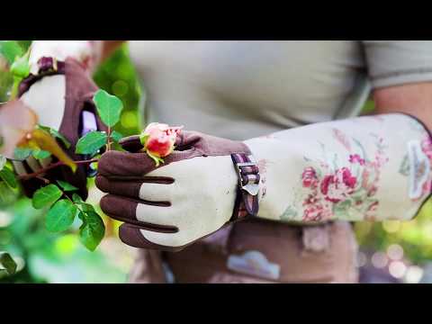 Rosenhandschuh Test - Finde dein Produkt auf produktefinder.com