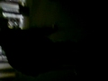 Timi