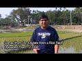 The Struggle to Afford High School Textbooks