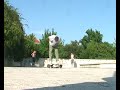 primo combo