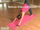 What is YOGA by CitiHealth What is YOGA by CitiHealth