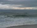Nature #1