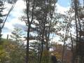 videos de mr. s on swing in becket