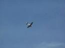 low flying plane low flying plane