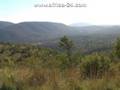 Zwartkloof Private Game Reserve - Africa Travel Channel
