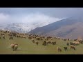 Iran Qazvin Landscapes and Nature