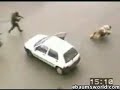 police dogs
