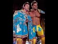 Some rare WWF Themes 1 Some rare WWF Themes 1