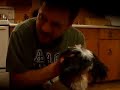 New Waterford Presents Allie Leadbeater, Dog Expert