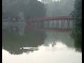 Giant Turtle Sighting_Hanoi_Vietnam
