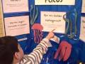 First Science Fair