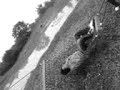 Joee And Swing Joee And Swing