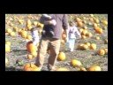 We got Pumpkin Picking 2008