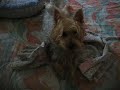 Roll, Roll, Roll Your Bed