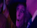 I am the walrus [Across the Universe Version]